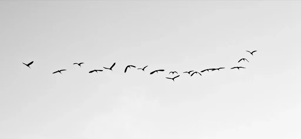 6s管理的認(rèn)知