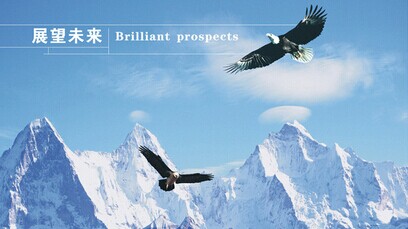 如何設(shè)計(jì)管理層的薪酬管理方案